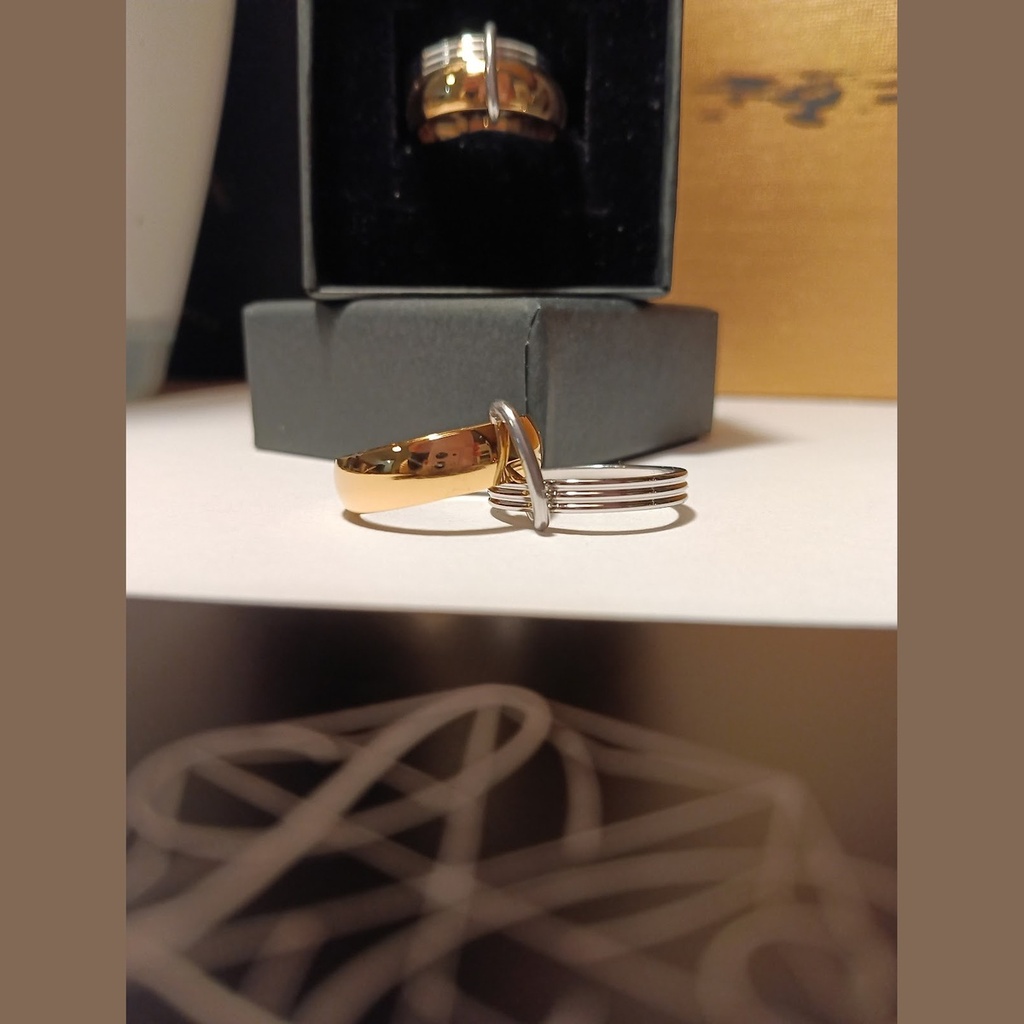 Bague Bicolore Double Anneau "Fusion"